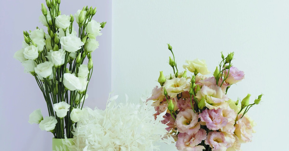 Blog Art Floral Lisianthusnull